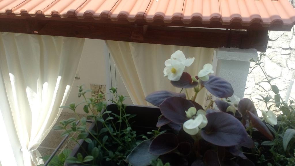 Apartment Lavanda Nova ราชานิ ภายนอก รูปภาพ